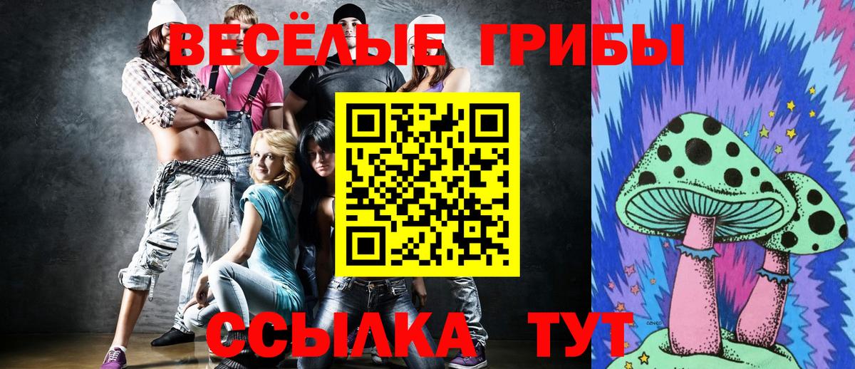 Псилоцибиновые грибы Psilocybe Калуга